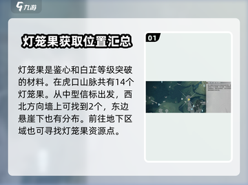 鸣潮🔥灯笼果位置全解密！快收藏💡截图2