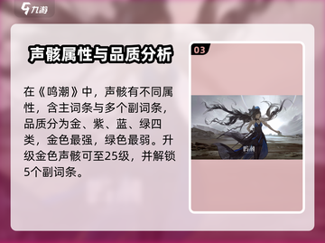鸣潮暗鬃狼🔥超详细声骸攻略来啦！截图4