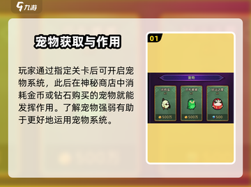 迷雾大陆🔥宠物排行！最强宠物推荐🎉截图2