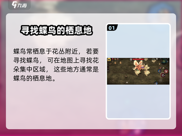 饥荒新家园：蝶鸟位置大揭秘！🦋🔥截图2