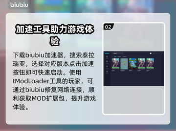泰拉瑞亚闪退？联机加速神器来了！🚀🔥截图3