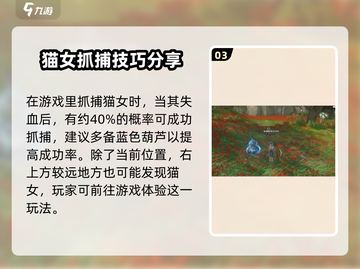 仙剑世界💥抓绣影猫妖超全攻略🐱截图4