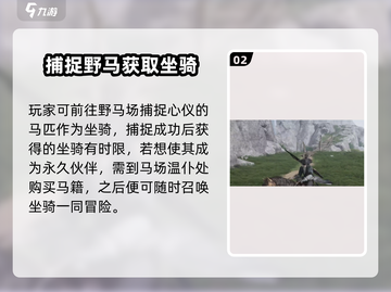 燕云十六声🔥坐骑大全来了！你心动了吗？截图3