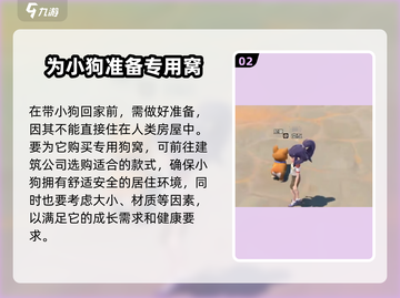 沙石镇时光💥尼莫的家在哪？想回家的他该怎么办！截图3