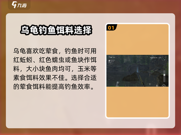 钓鱼星球🔥Rocky湖淡水龟爆钓秘籍✨截图2