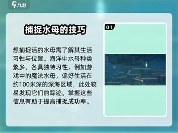 潜水员戴夫水母捕获攻略✨活捉技巧大公开！截图2