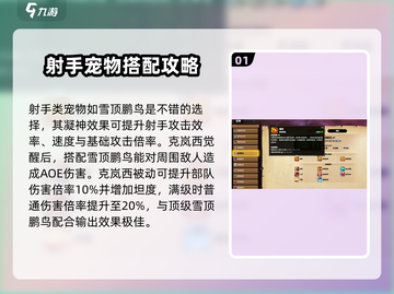 万龙觉醒🔥克岚西宠物最强搭配攻略✨截图2