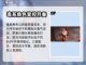 龙息神寂🔥三大职业揭秘🎉游戏迷必看！截图2