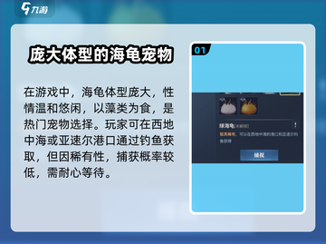黎明之海🔥绿海龟宠物获取攻略来啦！快人一步拥有它✨截图2