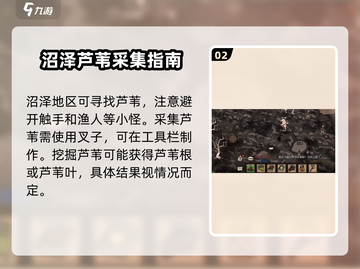 饥荒新家园🔥芦苇获取全攻略💎截图3