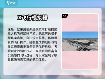 ✈2025最耐玩飞机游戏合集！模拟飞行控速收藏截图6