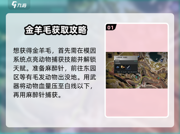 七日世界金羊毛获取攻略🔥超详细解析🎮截图2