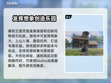 雾锁王国延迟？❌卡顿解决秘籍在这里！🎮截图2
