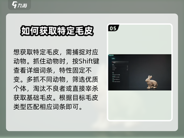七日世界🔥金羊毛获取秘籍💎玩家必看！截图6