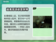 法外枭雄滚石城😎窃取匪徒财物完成攻略截图4