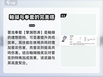 鸣潮🔥釉瑚突破材料大揭秘！玩家必看💎截图4