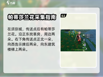原神🔥帕蒂莎兰采集位置全解密！💎截图3