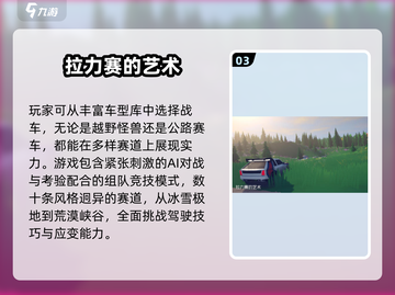 🔥2025必玩拉力赛游戏TOP榜！🚗💥截图4