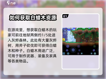 泰拉瑞亚🔥白蜡木获取秘籍，轻松拿到手！截图2
