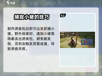 荒野起源🔥养猪攻略，快速养猪称霸游戏！截图3