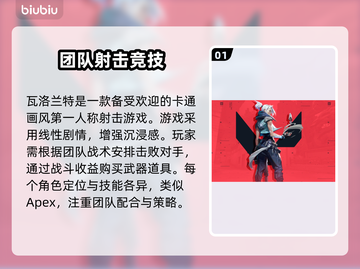 瓦洛兰特加速器哪个好🔥下载地址大公开！截图2