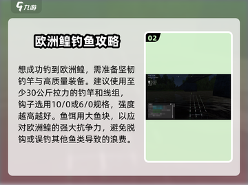 钓鱼星球🔥欧洲鳇出鱼秘籍，必看❗截图3