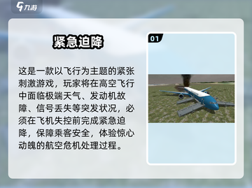 ✈2025最刺激飞机迫降游戏TOP5🔥截图2