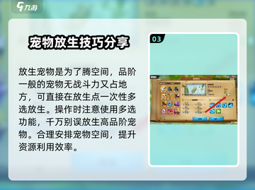 万龙觉醒🔥宠物放生技巧大揭秘！💡截图4