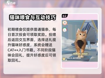 超喵星计划💥新手必看！全流程攻略-cat-截图3