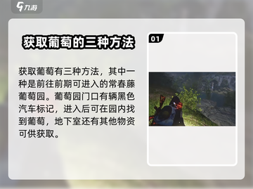 七日世界💥葡萄获取全攻略🍇玩家必看！截图2
