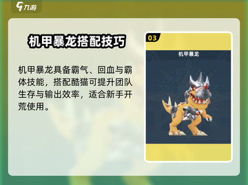 《猎风传说酷猫忍者搭配攻略🔥》✨截图4