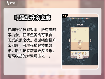 猫咪和汤喂食玩法🔥《猫咪与鱼汤》攻略来啦！截图2