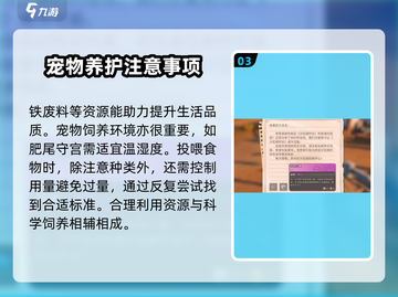 沙石镇时光🔥肥尾守宫最爱的物品大揭秘！截图4