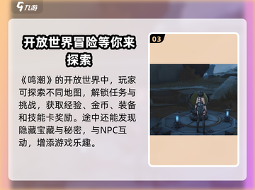 鸣潮⚡裂纹岩壁隐藏彩蛋大曝光！游戏玩家必看🔥截图4