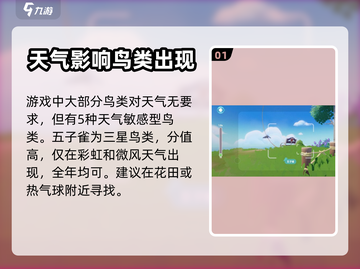 心动小镇🔥必看！鸟类分布位置大揭秘🎉截图2