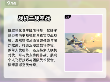 💥2025二战空战游戏TOP榜🎮🔥截图2