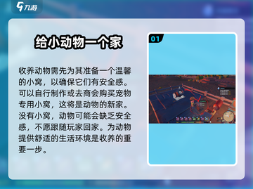 《沙石镇时光》🔥手把手教你收养狐獴！萌宠养成全流程攻略截图2