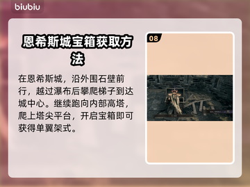 艾尔登法环🔥黄金树之影战灰全收集攻略！截图9
