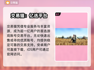 🔥PUBG账号哪里买最靠谱？专业交易平台大揭秘！🎮截图2