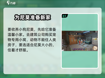 沙石镇时光🔥尼莫收养全流程揭秘！📌住哪超详细截图2