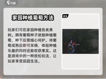 七日世界💥葡萄获取全攻略🍇玩家必看！截图4