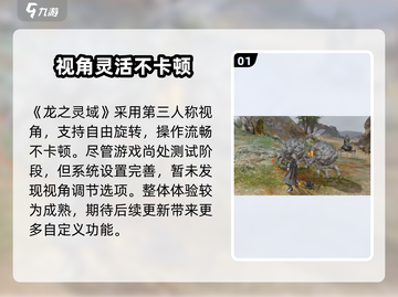 🔥《龙之灵域》视角大揭秘！✨截图2