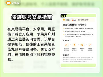 🎮王者贵族9充值攻略！💰账号估值全解析截图2