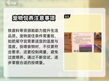 沙石镇时光🔥肥尾守宫最爱的物品大揭秘！截图4