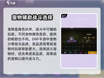 地下城与勇士手游🔥宠物玩法全揭秘！新手必看💥截图2