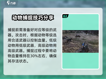 七日世界🔥捕捉动物超全方法大公开！🎮截图3