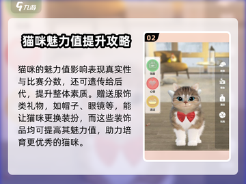 超喵星计划🎁：猫猫礼物攻略大公开！截图3