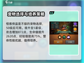 迷雾大陆🔥宠物选择秘籍！最强搭配等你来战💥截图3