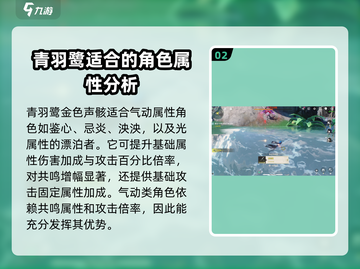 鸣潮🔥青羽鹭声骸讨伐路线超全攻略！🎉截图3