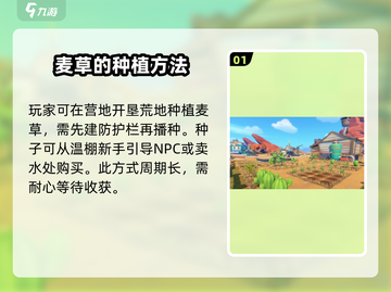 沙石镇时光💡麦草获取攻略，轻松搞定！截图2